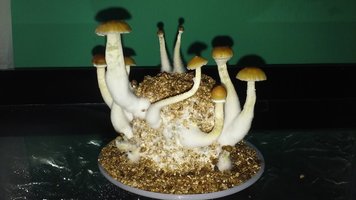 20160528_144354.jpg