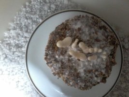 20160529_154714.jpg
