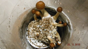 DSCF2330.JPG