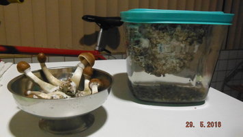 DSCF2332.JPG