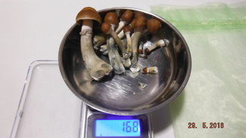 DSCF2333.JPG