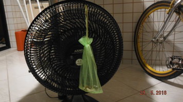 DSCF2334.JPG