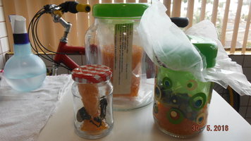 DSCF2335.JPG