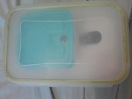 P30-05-16_10.16.jpg
