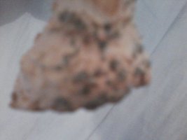P30-05-16_10.18.jpg