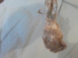 P30-05-16_10.19.jpg