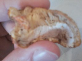 P30-05-16_10.20.jpg