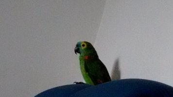 IMG_20160530_113418093.jpg