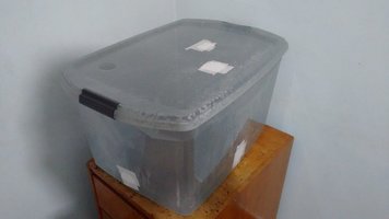 IMG_20160530_175814347.jpg