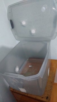IMG_20160530_175842935.jpg