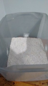 IMG_20160530_182401149.jpg