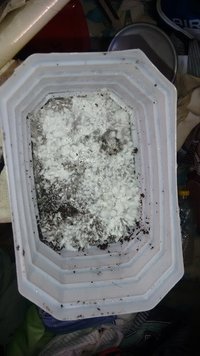 IMG_20160531_140936127.jpg