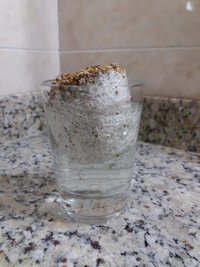 in vitro 4 - dunk.jpg