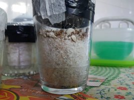 in vitro 1 - antes de aniv.jpg