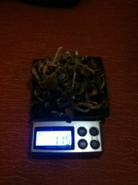 IMG_4340.JPG