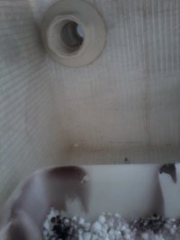 20160601_134447.jpg