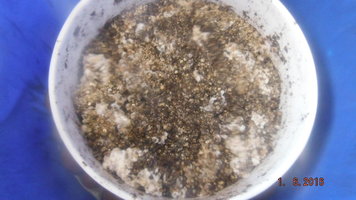 DSCF2360.JPG