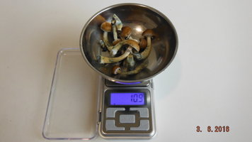DSCF2367.JPG