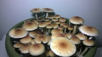 WP_20160424_018.jpg