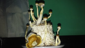 20160609_183530.jpg