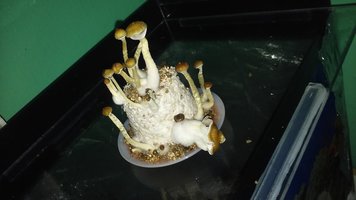 20160609_183558.jpg