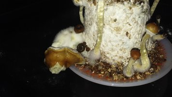 20160609_183627.jpg