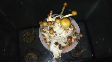 20160609_183644.jpg