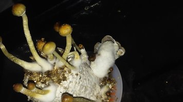 20160609_183826.jpg