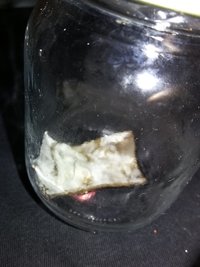 20160530_132618.jpg