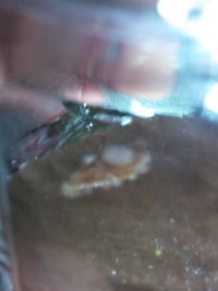 20160608_215108.jpg