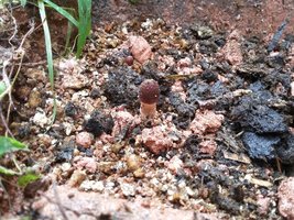 20160521_084018.jpg