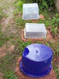 20160521_091235.jpg