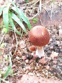 20160523_082925.jpg