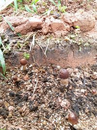 20160525_101901.jpg