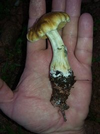 20160527_072656.jpg