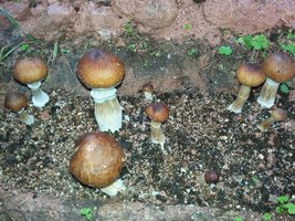 20160527_074252.jpg