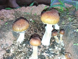 20160527_074352.jpg