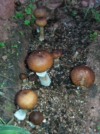 20160527_074708.jpg