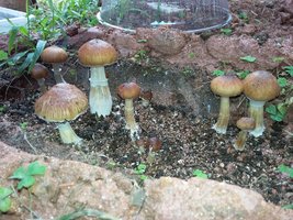 20160527_121650.jpg
