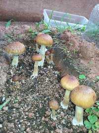20160527_121704.jpg