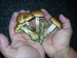 20160527_160128.jpg