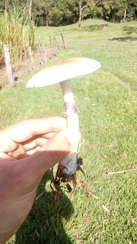 IMG-20160601-WA0005.jpg