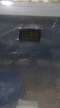 IMG_20160613_065549891.jpg