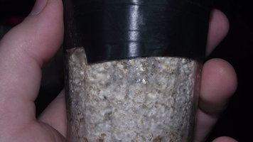 DSCF4265.JPG