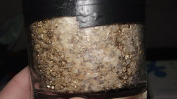 DSCF4280.JPG