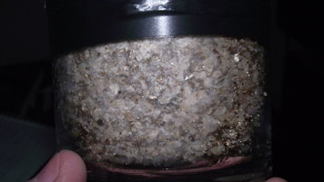 DSCF4286.JPG