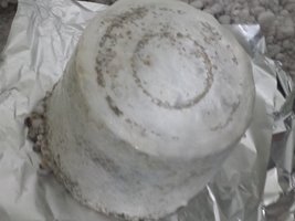 20160615_224234.jpg