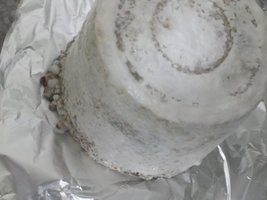 20160615_224230.jpg