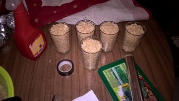 WP_20160611_14_51_54_Pro.jpg