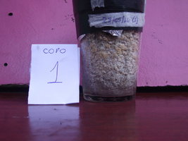 DSCF4326.JPG